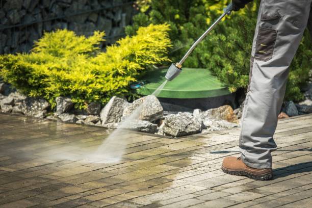 Best Warehouse Cleaning  in Fishhook, AK