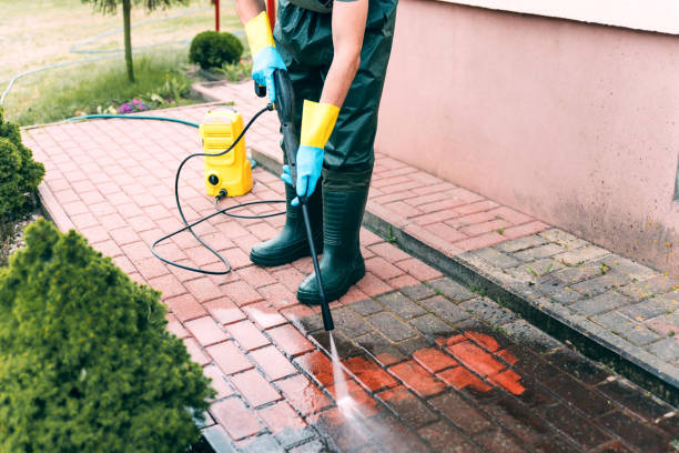 Best Animal Enclosure Cleaning  in Fishhook, AK