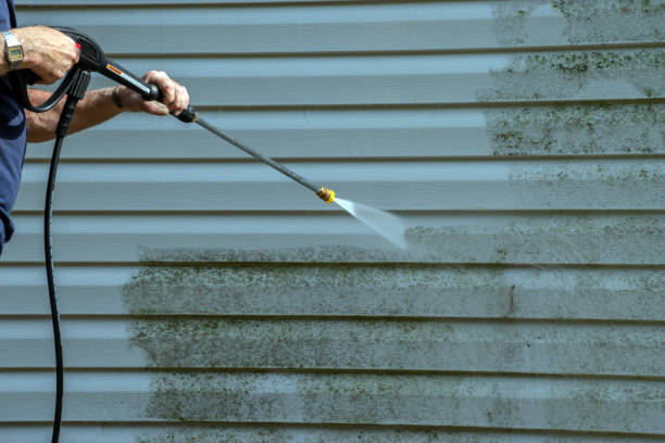 Best House Exterior Washing  in Fishhook, AK