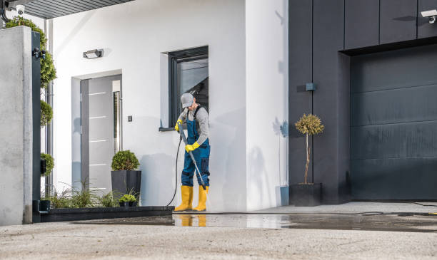 Best Fleet Vehicle Washing  in Fishhook, AK
