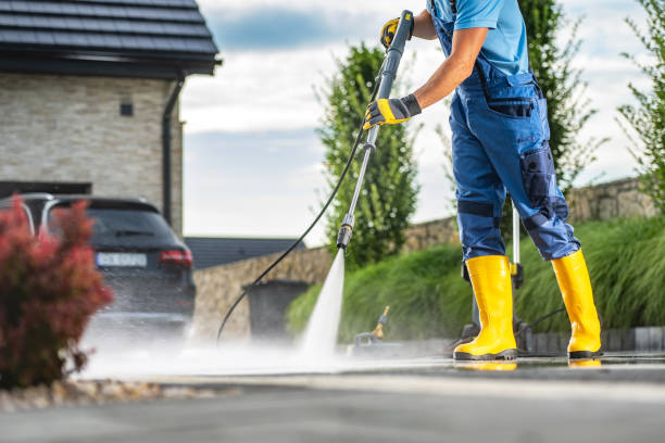 Best Graffiti Removal  in Fishhook, AK